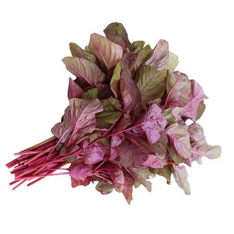 RED AMARANTH LEAVES 1PC