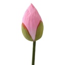 [0100005939] FRESH FLOWER LOTUS