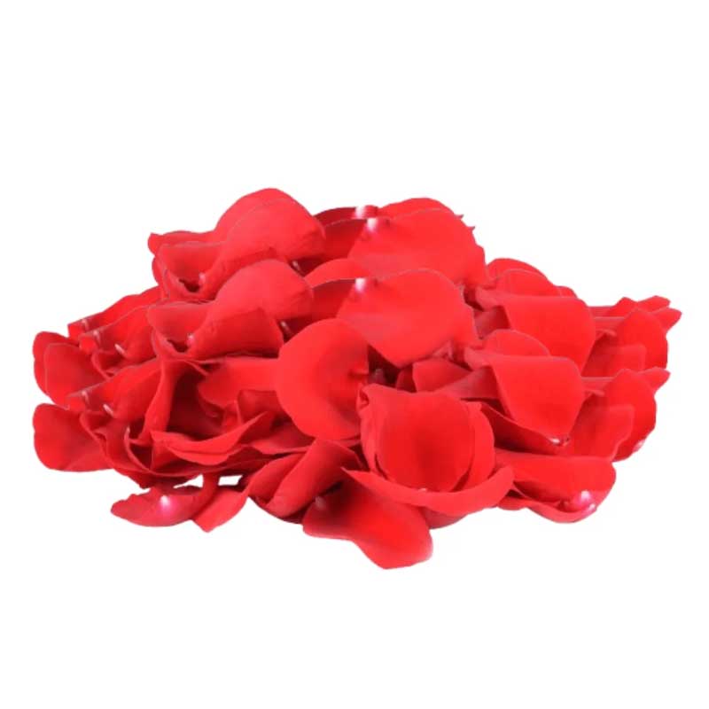 RUBA PANEER ROSE /KG