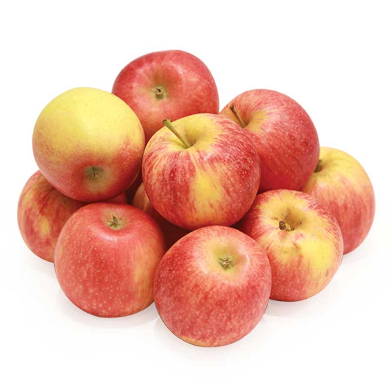 APPLE MISIR BABY KGS