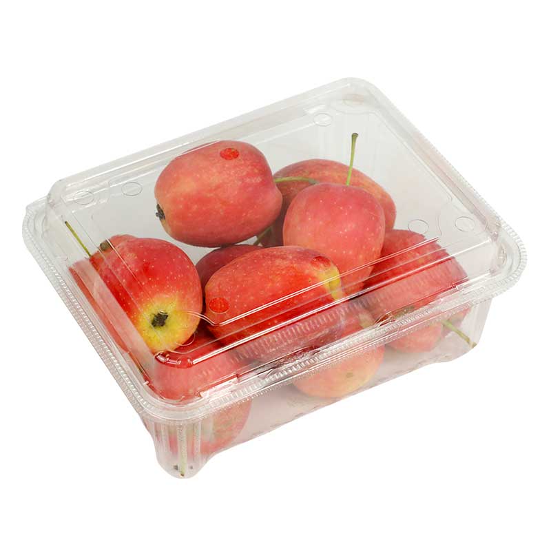 APPLE CANDY PKT