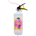 MADHOOR HOLI THUNDER PINK 6KG