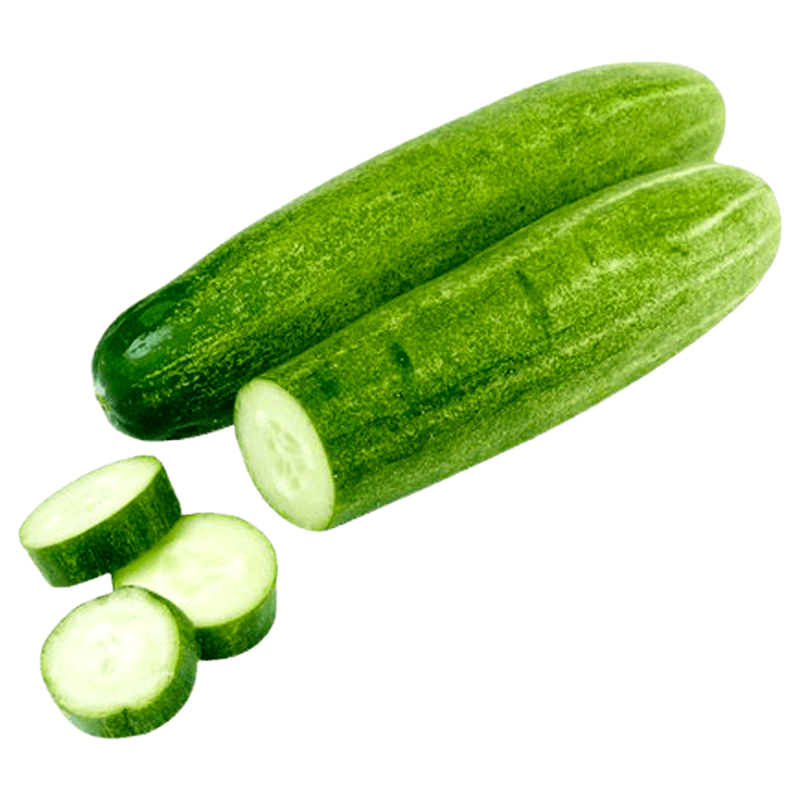 RUBA CUCUMBER INDIA KGS