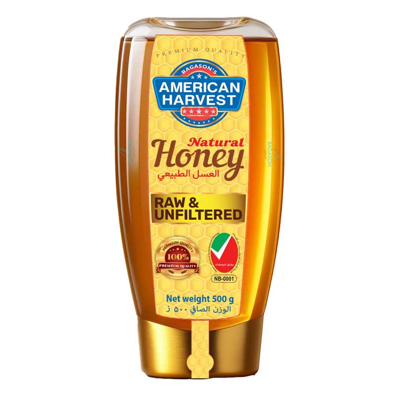 AMERICAN HARVEST HONEY SQU 500GM