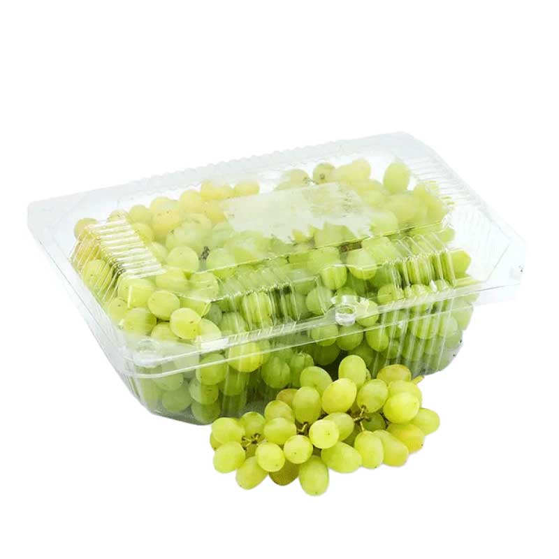 GRAPE GREEN PP
