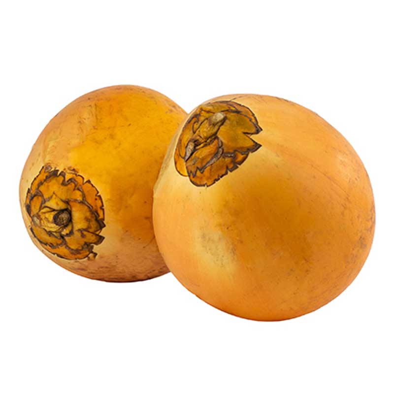 TENDER COCONUT SRI PC