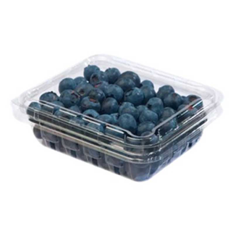 BLUEBERRY /PKT
