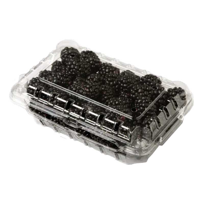 BLACK BERRIES PKT
