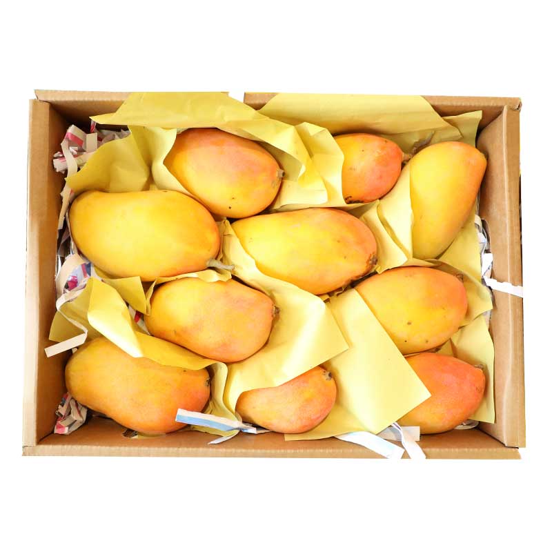 MANGO YEMEN BOX