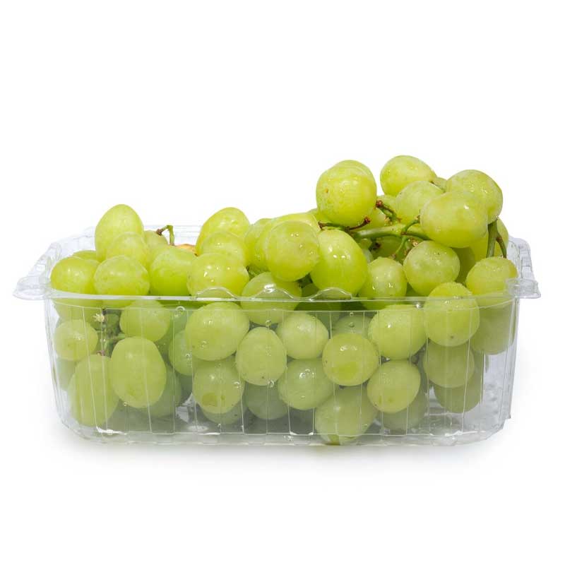 GRAPE IRAN PP