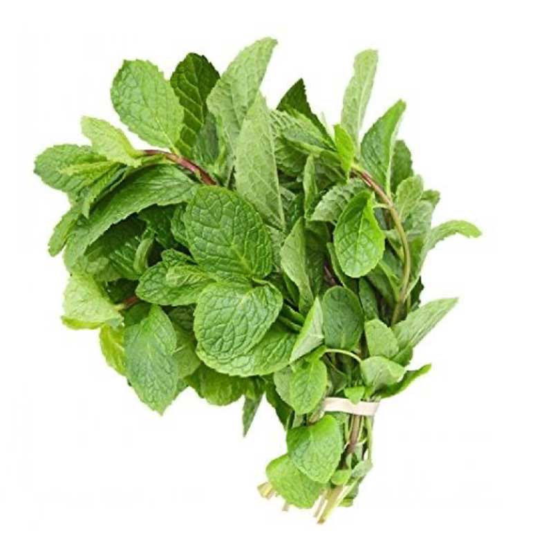FRESH LEAVES