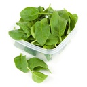 [0100022494] BABY SPINACH ITALY PKT