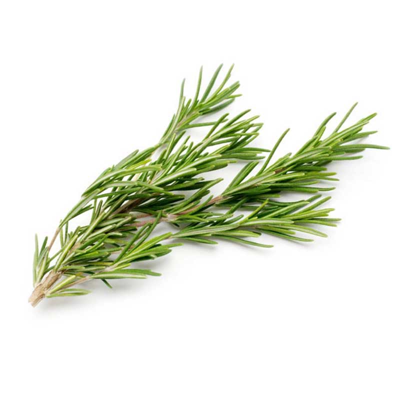ROSEMARY LEAVES PKT