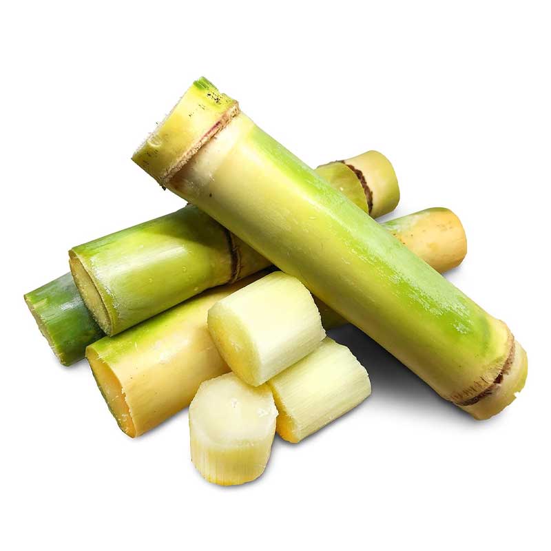 SUGAR CANE KG