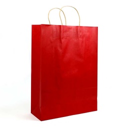 [0100001654] GIFT BAG MEDIUM