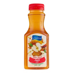 [0100003541] AL RAWABI  APPLE JUICE 350 ML