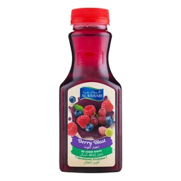 [0100022160] AL RAWABI CRANBERRY JUICE 350ML