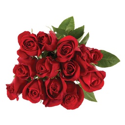 [0100026352] RUBA ROSE /Kg