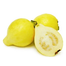 [0100021751] GUAVA SMALL