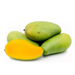 [0100021764] MANGO LOCAL