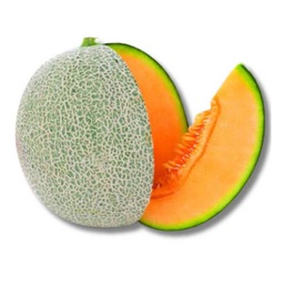 [0100021781] ROCK MELON