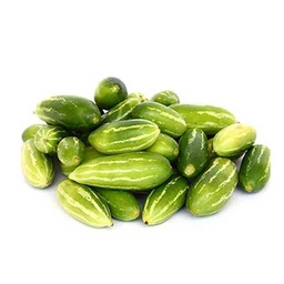 [0100021867] TINDLY (KOVAKKA)