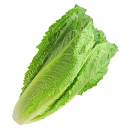 [0100021872] LETTUCE LEAVES