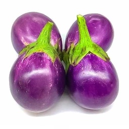 [0100021883] PINK EGGPLANT(AV)