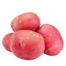 [0100021887] POTATO RED