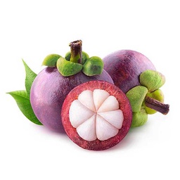 [0100022018] MANGOSTEEN /PKT