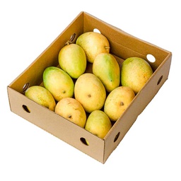 [0100025159] MANGO BADAMI BOX
