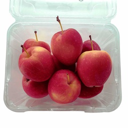 [0100025588] APPLE PKT