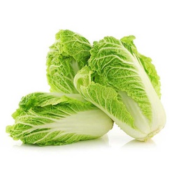 [0100021836] CHINESE CABBAGE