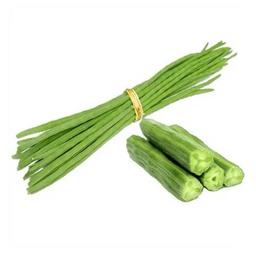 [0100021841] DRUMSTICK