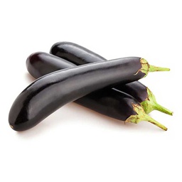 [0100021844] EGG PLANT LONG