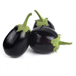 [0100021846] EGG PLANT SMALL