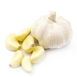 [0100021851] GARLIC IND