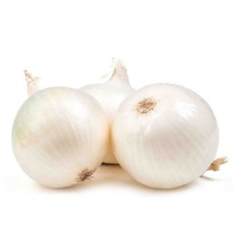 [0100021881] ONION WHITE