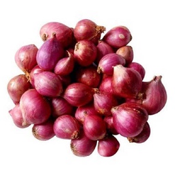 [0100021893] SMALL ONION