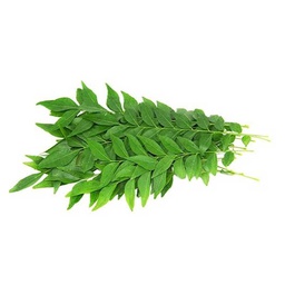 [0100022021] CURRY LEAVES