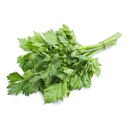 [0100022023] CELERY LEAVES