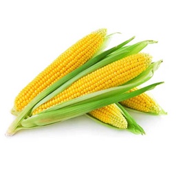 [0100026529] RUBA SWEET CORN INDIA (AIR)