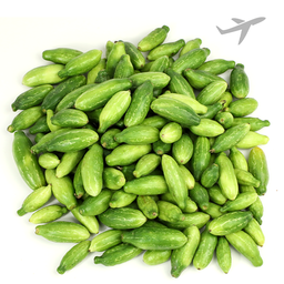 [0100026566] RUBA TINDLI INDIA (AIR)