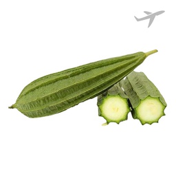 [0100026569] RUBA TURAI INDIA (AIR)