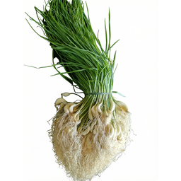 [0100026750] RUBA GREEN GARLIC INDIA AIR /Kg