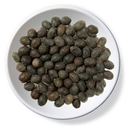 [0100015419] PABDI - KAMAL - GATTA /KG