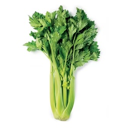 [0100018529] CELERY LEAVES