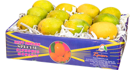 [0100020583] RTC ALPHONSO MANGO 12PC