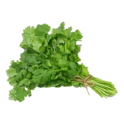 [0100028492] CORRIANDER LEAVES 1PC