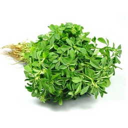 [0100028494] METHI LEAVES 1PC